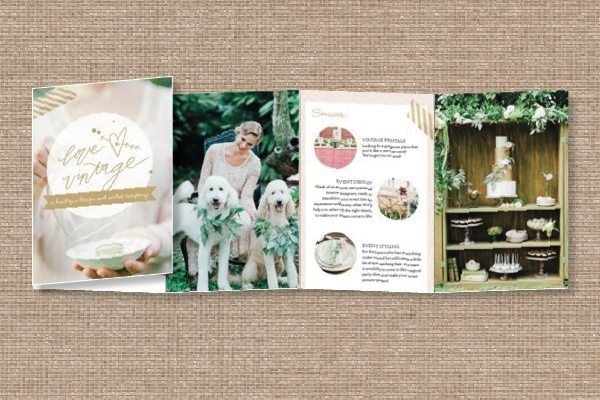 accordian brochure, wedding business brochure