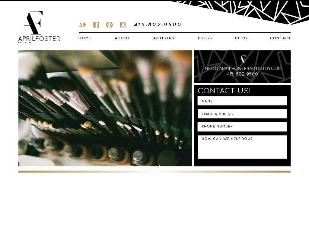 modern, sleek, black and white, custom wordpress website
