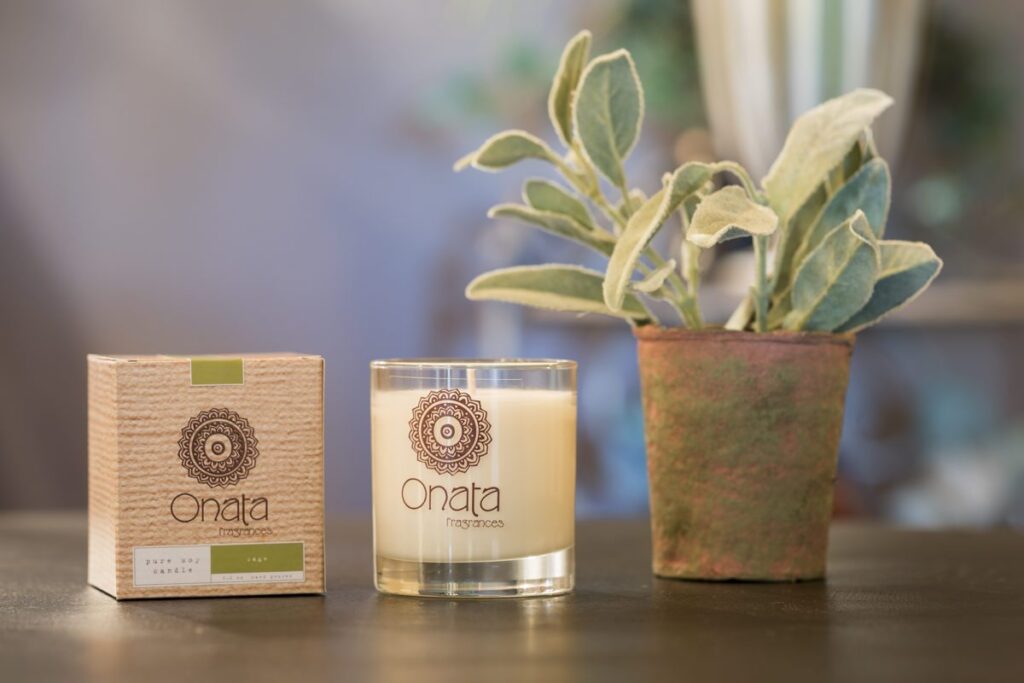 Custom Ecommerce Website | Doodle Dog