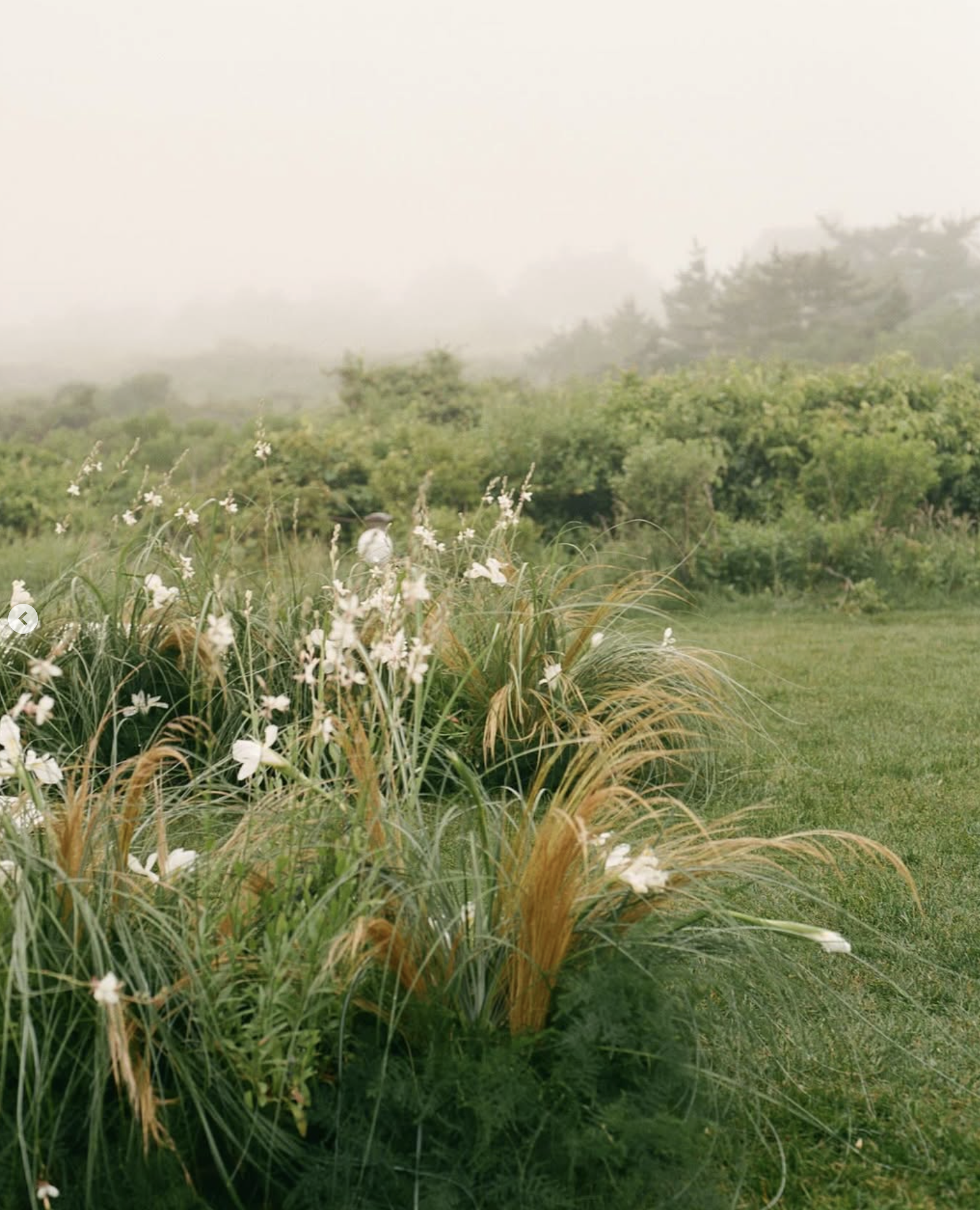 Misty meadow florals
