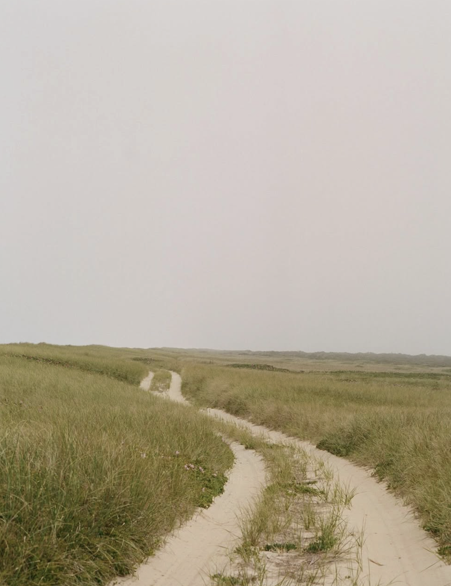 Sandy path through the moors