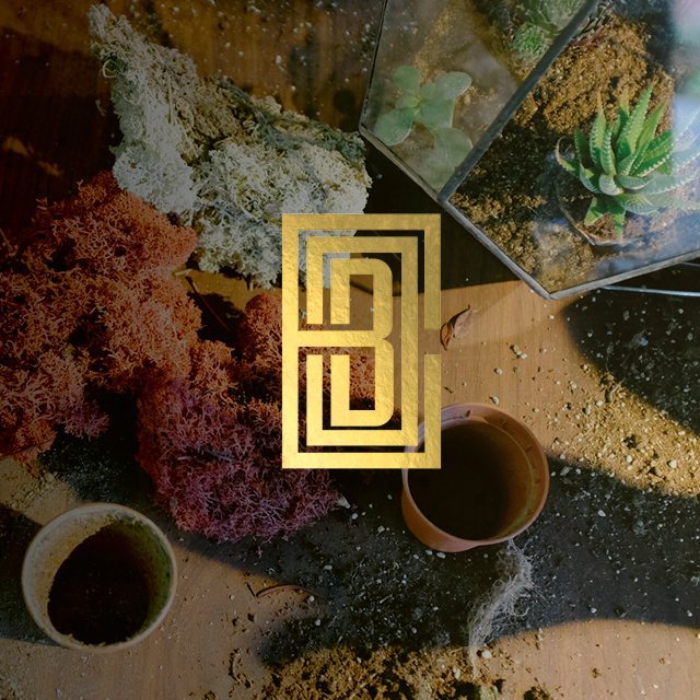 creative business brand design