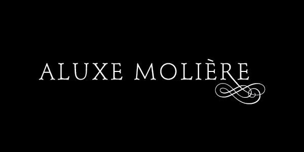 branding projects, branding, new brand, brand identity, doodle dog, doodle dog advertising, new brand, new brand identity